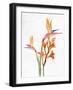 Tropic Floral 2-Ann Bailey-Framed Art Print