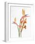 Tropic Floral 2-Ann Bailey-Framed Art Print