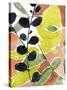 Tropic Fun II-Jennifer Goldberger-Stretched Canvas