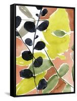 Tropic Fun II-Jennifer Goldberger-Framed Stretched Canvas