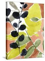 Tropic Fun II-Jennifer Goldberger-Stretched Canvas