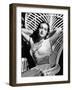 Tropic Holiday-null-Framed Photo