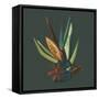 Tropic of Capricorn I-Renée Stramel-Framed Stretched Canvas