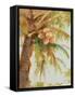 Tropic Palm-Stefano-Framed Stretched Canvas