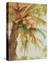 Tropic Palm-Stefano-Stretched Canvas