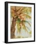 Tropic Palm-Stefano-Framed Art Print