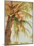 Tropic Palm-Stefano-Mounted Art Print