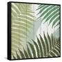 Tropic Palms 1-Kimberly Allen-Framed Stretched Canvas