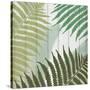 Tropic Palms 1-Kimberly Allen-Stretched Canvas