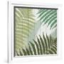 Tropic Palms 1-Kimberly Allen-Framed Art Print