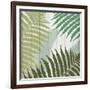 Tropic Palms 1-Kimberly Allen-Framed Art Print