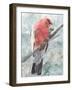 Tropic Parrot I-Stellar Design Studio-Framed Art Print