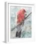 Tropic Parrot I-Stellar Design Studio-Framed Art Print