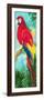 Tropic Parrots I-Jane Slivka-Framed Premium Giclee Print