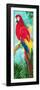 Tropic Parrots I-Jane Slivka-Framed Premium Giclee Print