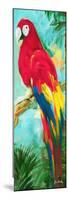 Tropic Parrots I-Jane Slivka-Mounted Premium Giclee Print