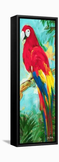 Tropic Parrots I-Jane Slivka-Framed Stretched Canvas