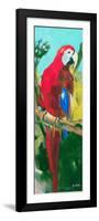 Tropic Parrots II-Jane Slivka-Framed Art Print