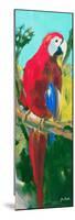 Tropic Parrots II-Jane Slivka-Mounted Art Print