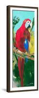 Tropic Parrots II-Jane Slivka-Framed Premium Giclee Print