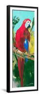 Tropic Parrots II-Jane Slivka-Framed Premium Giclee Print