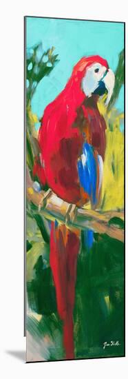 Tropic Parrots II-Jane Slivka-Mounted Premium Giclee Print