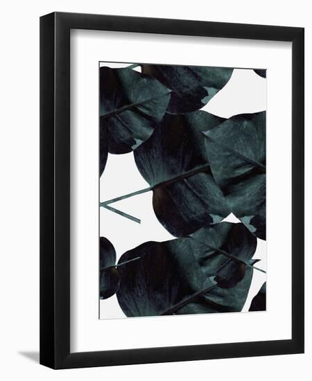 Tropic Sensation-Design Fabrikken-Framed Photographic Print