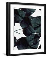 Tropic Sensation-Design Fabrikken-Framed Photographic Print