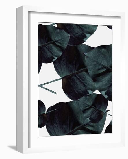 Tropic Sensation-Design Fabrikken-Framed Photographic Print