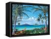 Tropic Travels-Scott Westmoreland-Framed Stretched Canvas