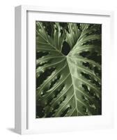 Tropica I-Boyce Watt-Framed Giclee Print