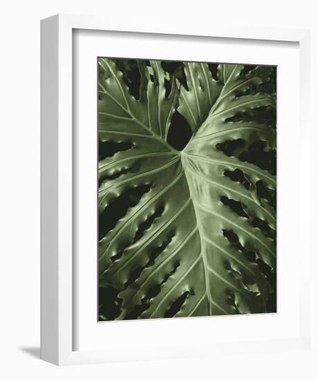 Tropica I-Boyce Watt-Framed Giclee Print