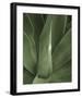 Tropica III-Boyce Watt-Framed Giclee Print