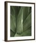 Tropica III-Boyce Watt-Framed Giclee Print