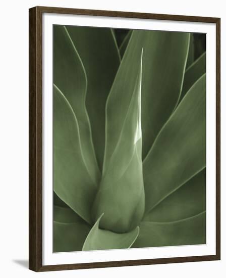 Tropica III-Boyce Watt-Framed Giclee Print