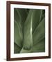 Tropica III-Boyce Watt-Framed Giclee Print