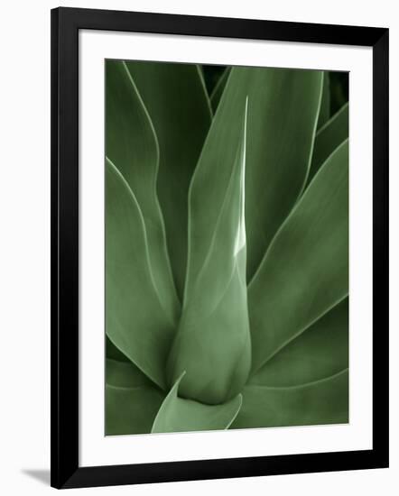 Tropica III-Boyce Watt-Framed Art Print