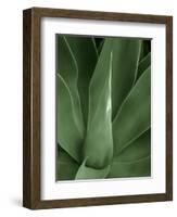 Tropica III-Boyce Watt-Framed Art Print