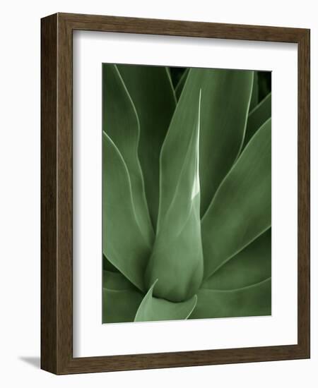 Tropica III-Boyce Watt-Framed Art Print