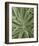 Tropica IV-Boyce Watt-Framed Giclee Print