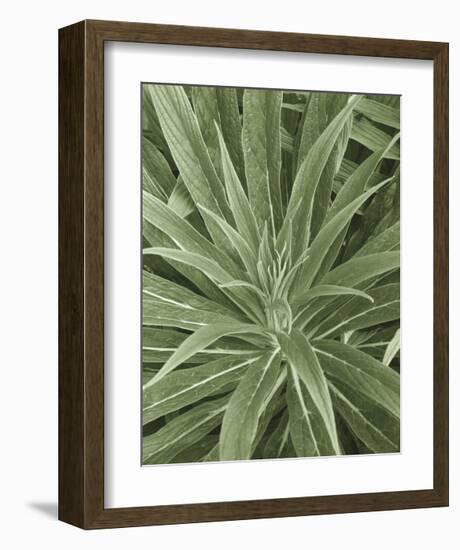 Tropica IV-Boyce Watt-Framed Giclee Print