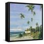 Tropical 1-Gregory Garrett-Framed Stretched Canvas