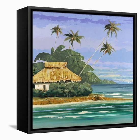 Tropical 2-Gregory Garrett-Framed Stretched Canvas