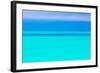 Tropical Abstract III-Kathy Mahan-Framed Photographic Print