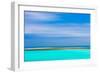 Tropical Abstract IX-Kathy Mahan-Framed Photographic Print