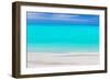 Tropical Abstract VIII-Kathy Mahan-Framed Photographic Print