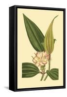 Tropical Ambrosia I-Sydeham Teast Edwards-Framed Stretched Canvas