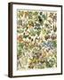 Tropical and Exotic Flowers, Including Orchid, Anthurium, Gloxinia, Trillium-null-Framed Giclee Print