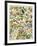 Tropical and Exotic Flowers, Including Orchid, Anthurium, Gloxinia, Trillium-null-Framed Giclee Print