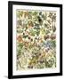 Tropical and Exotic Flowers, Including Orchid, Anthurium, Gloxinia, Trillium-null-Framed Giclee Print